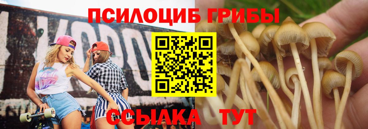 Галлюциногенные грибы мухоморы Елабуга